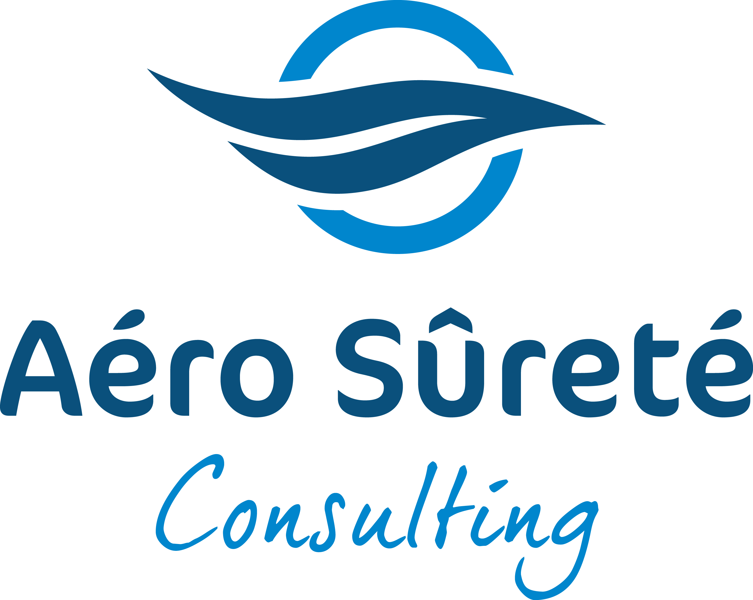 Aéro Sûreté Consulting